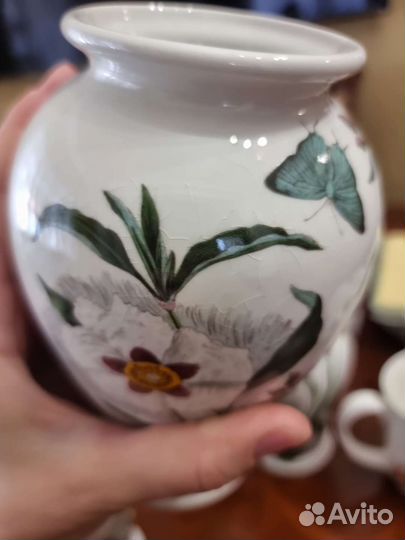 Portmeirion botanic garden