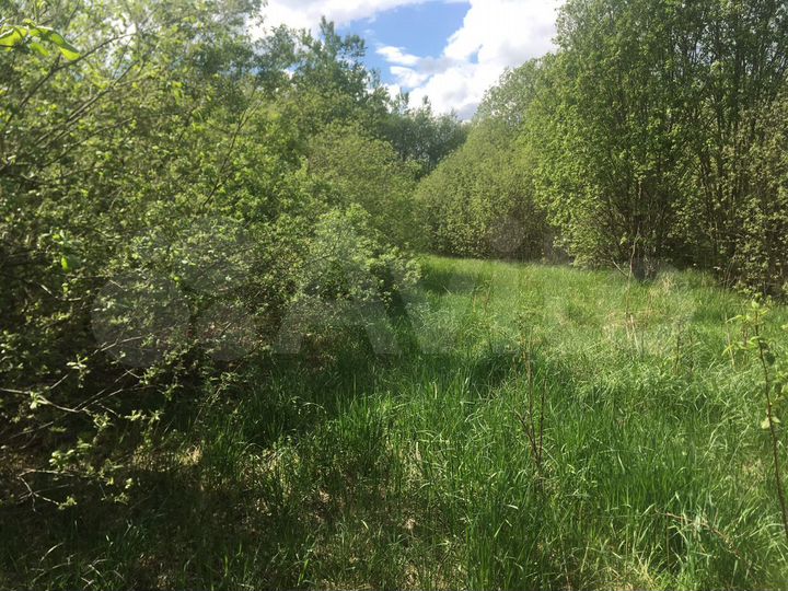 Участок 15 сот. (СНТ, ДНП)