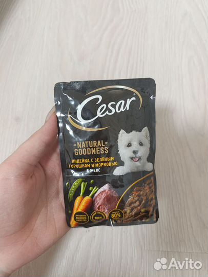 Cesar влажный корм для собак