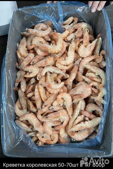 Креветки