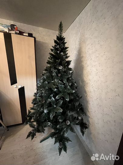 Новые елки (ель сосна ) в наличии