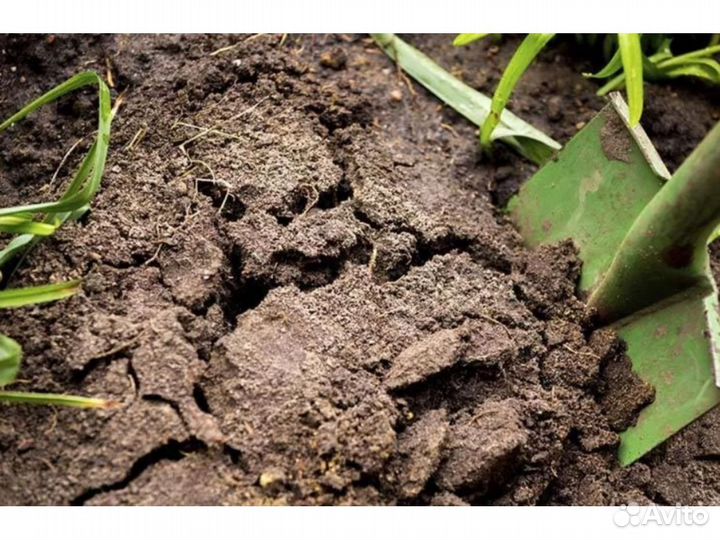 Грунт Ярославль