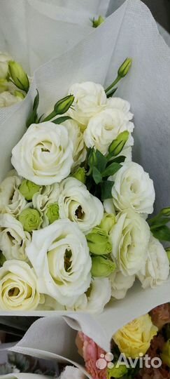 Букет Эустома