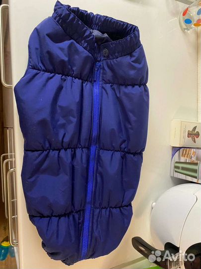 Пошив одежды для крупных собак