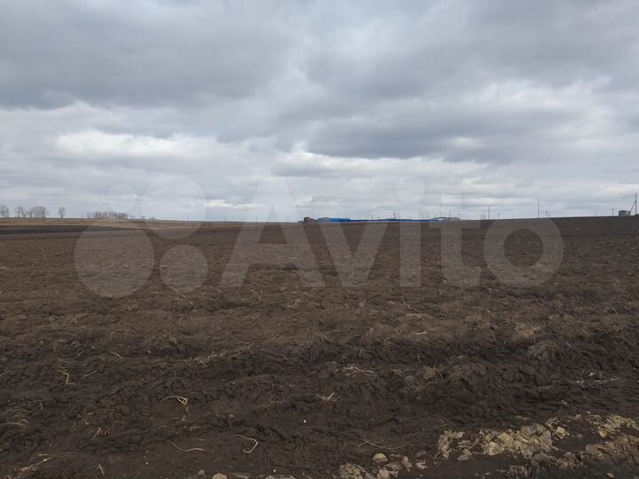 Участок 20,6 га (ИЖС)