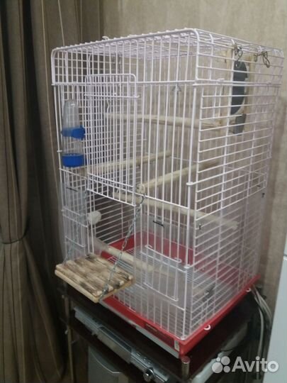 Клетка для среднего попугая