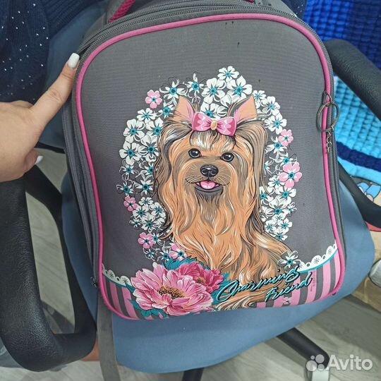 Ранец школьный каркасный Stavia серый