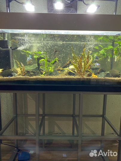 Аквариум 130 литров с тумбой