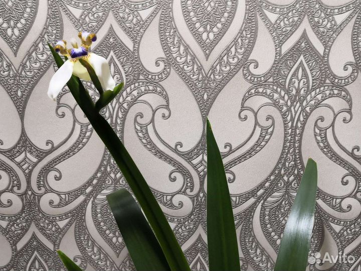 Кордилина, неомарика