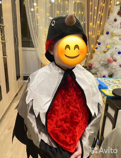 Костюм снегиря