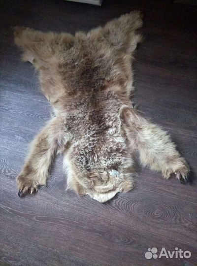 Шкура медведя(имитация)