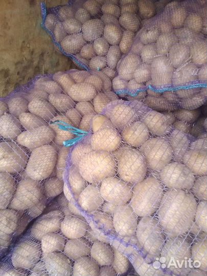 Картофель Коломбо