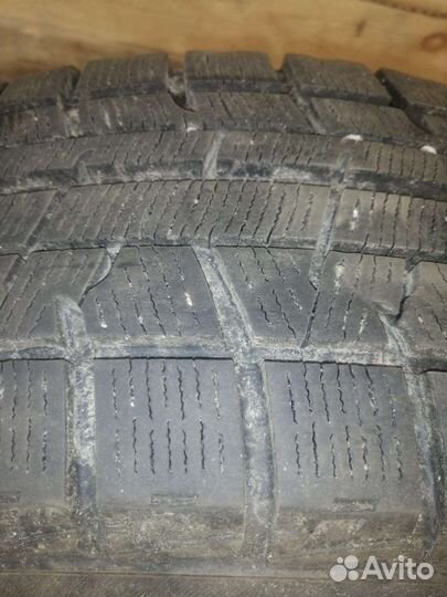 Yokohama Ice Guard IG50 205 R16