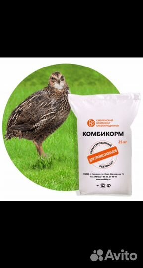 Комбикорм для перепелов (Смоленск)