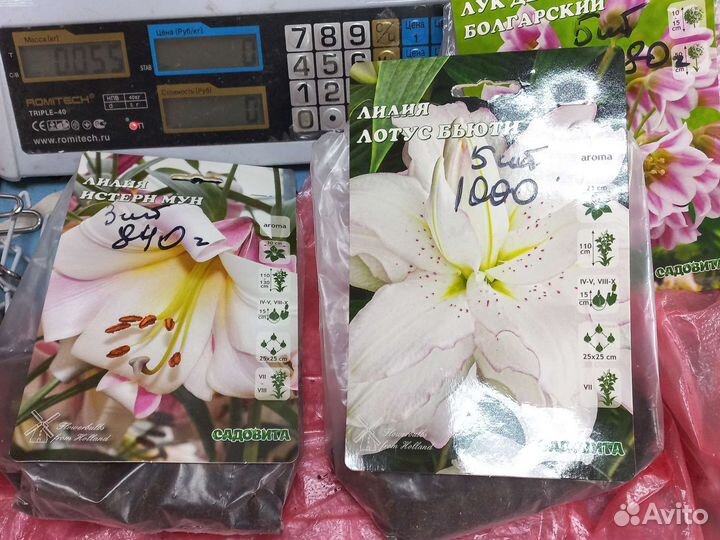 Луковицы лилий