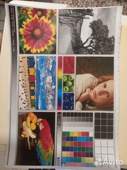 Цветной лазерный мфу xerox wc6015n