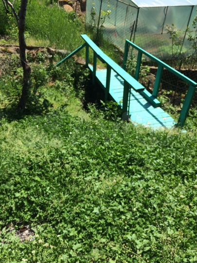 Участок 6 сот. (СНТ, ДНП)