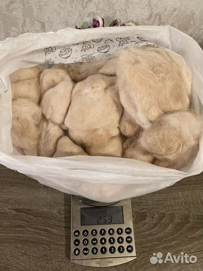 Шерсть кота- курильского бобтейла