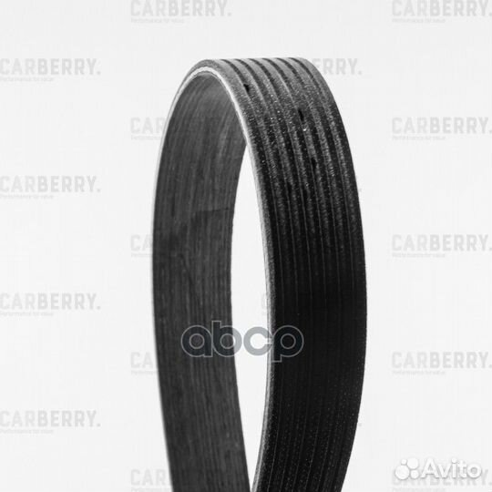 Universal 7PK2843 carberry