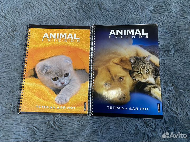 Тетради для музыкальной школы