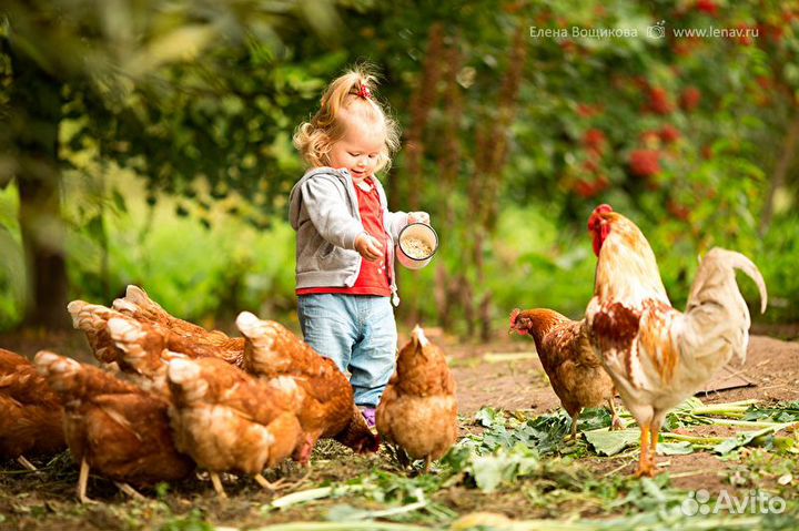 Сортировщик готовой продукции вахта ежен.выплаты