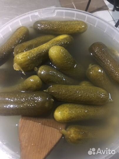 Соленые огурцы