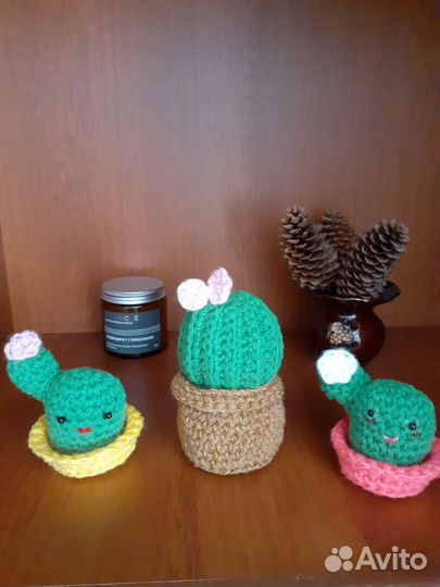 Кактус вязаный
