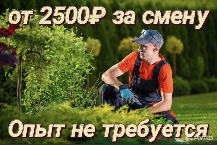 Работник для озеленения. Ежедневные выплаты