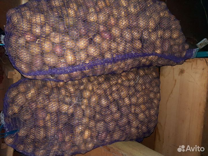 Продам картофель с доставкой на дом