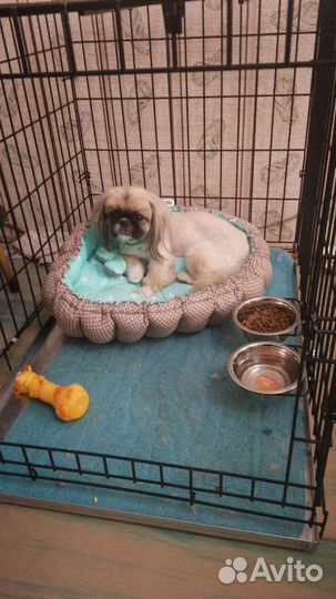 Клетка для собак 77*59*61см