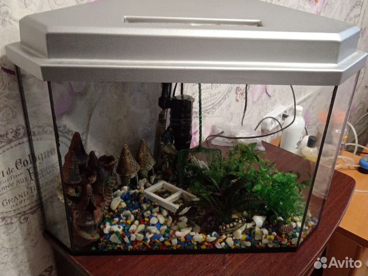 Аквариум
