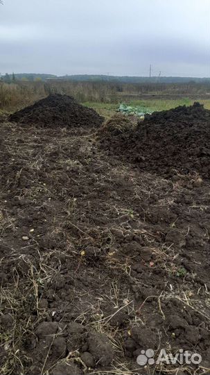 Навоз, перегной