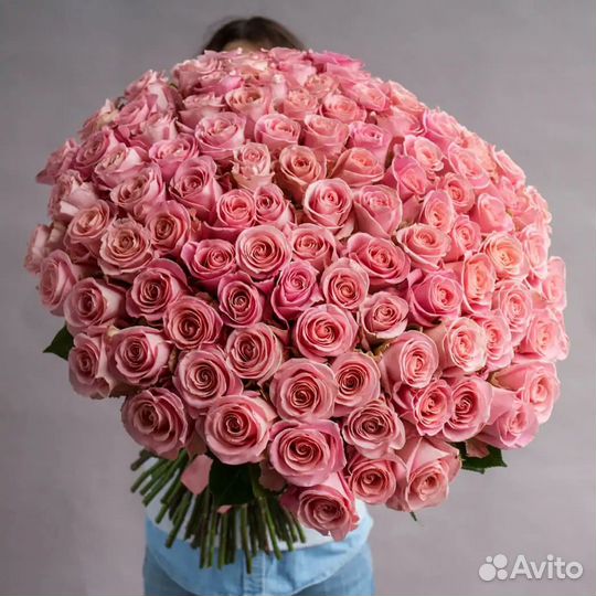 Роза Эквадор 50-80см