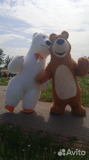 Шоу больших медведей