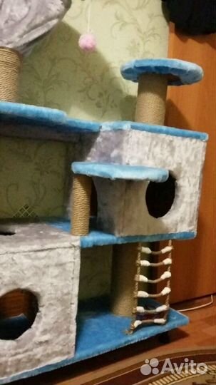 Кошкин домик