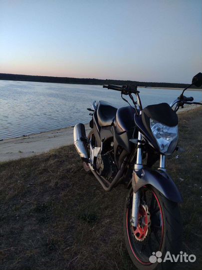 Winner 250/Stels Flex 250