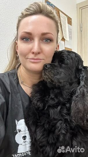 Груминг собак