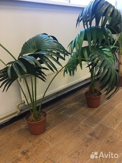 Искусственные цветы для декора