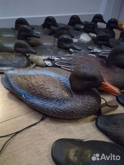 Чучела уток для охоты