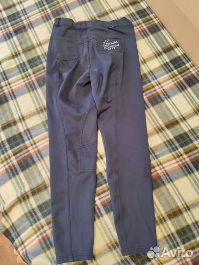 Бриджи для конного спорта