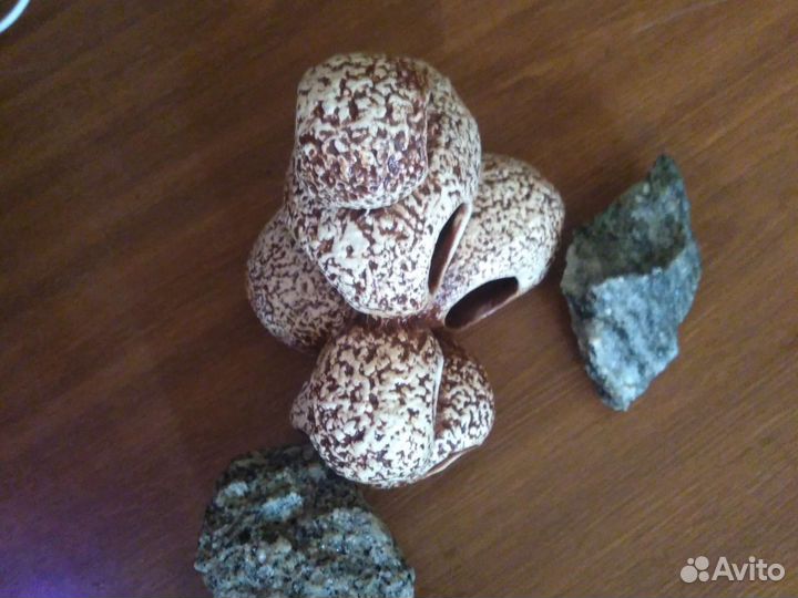 Декор для аквариума