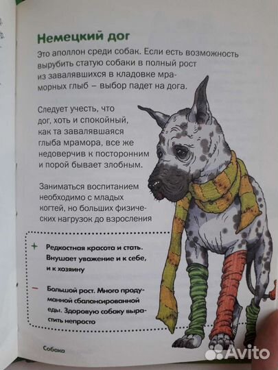 Книги для желающих завести собаку