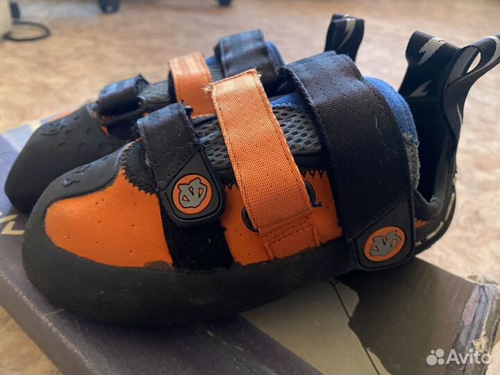 Скальные туфли evolv