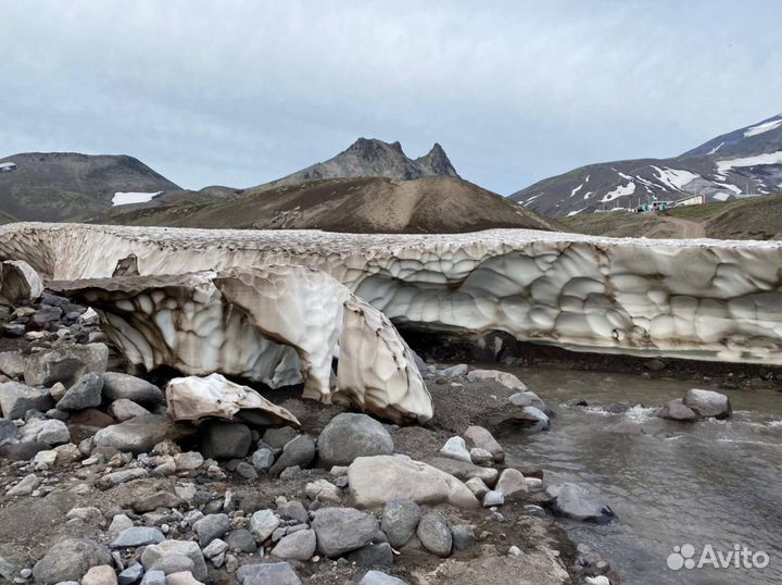 Тур на Камчатку 2024. Авачинский перевал, Верблюд