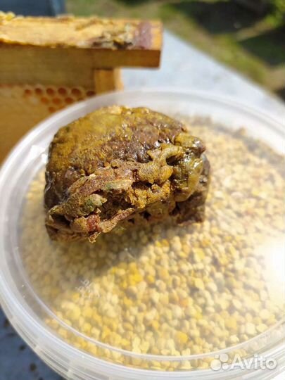 Мед со своей пасеки