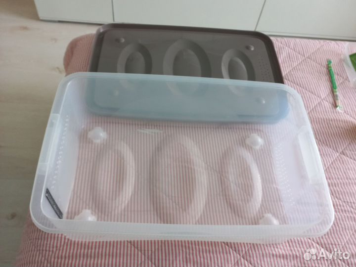 Садок для змеи маисового полоза