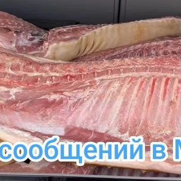 Мясо свинина полутуши