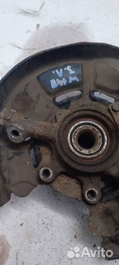 Кулак задний левый