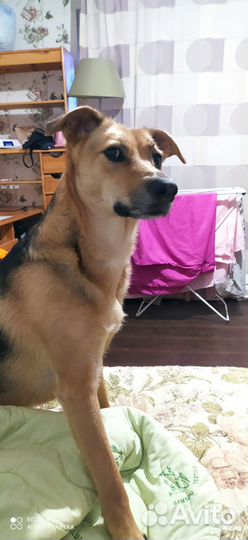 Помогите спасти