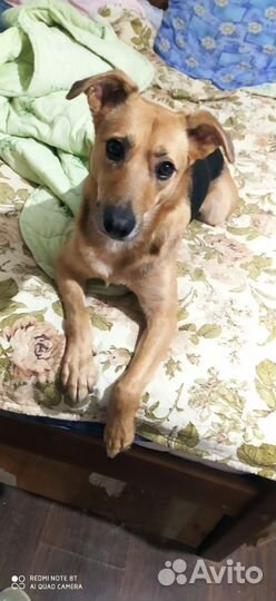 Помогите спасти